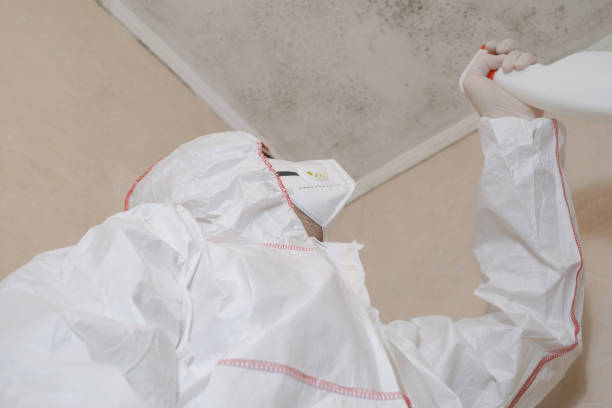 Best Industrial Mold Remediation  in Coopersburg, PA